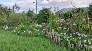김윤기님의 자유주제 · 자유게시판 작성글 사진