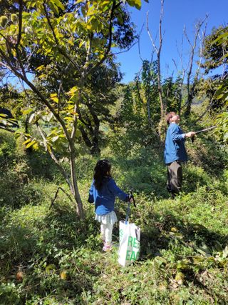 윤석돈님의 콩 · 영농일지 작성글 사진