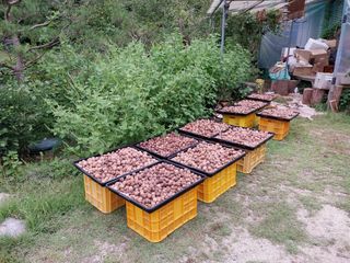 주주농장님의 작성글 사진