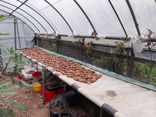 주주농장님의 작성글 사진