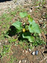 팜모닝 자유주제·자유게시판 게시글 이미지