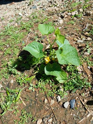 김영경님의 자유주제 · 자유게시판 작성글 사진