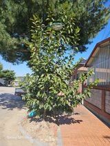 팜모닝 자유주제·자유게시판 게시글 이미지