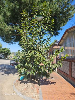 수레골님의 자유주제 · 자유게시판 작성글 사진