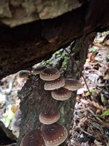 팜모닝 자유주제·사진전 게시글 이미지