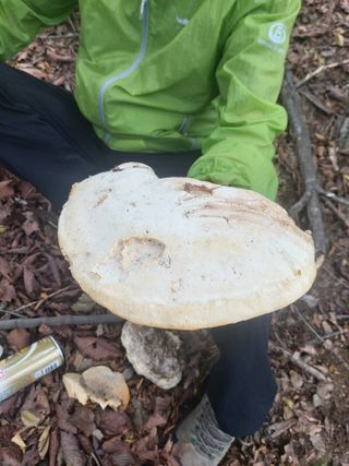 이용해님의 자유주제 · 자유게시판 작성글 사진