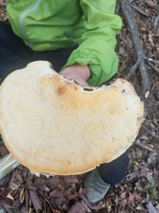 이용해님의 자유주제 · 자유게시판 작성글 사진