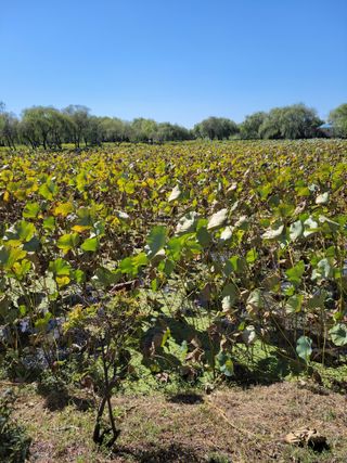 윤석돈님의 자유주제 · 자유게시판 작성글 사진