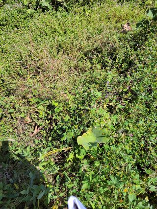 윤석돈님의 자유주제 · 자유게시판 작성글 사진