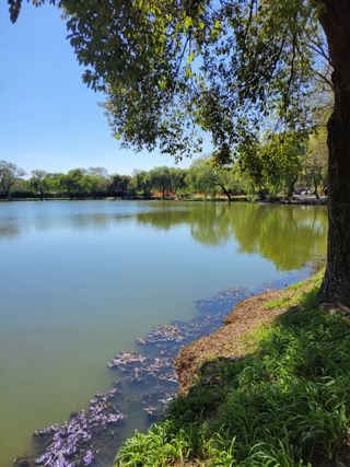 윤석돈님의 자유주제 · 자유게시판 작성글 사진