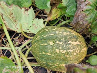 선이랑순이랑님의 자유주제 · 자유게시판 작성글 사진