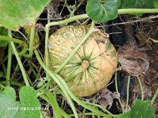 선이랑순이랑님의 자유주제 · 자유게시판 작성글 사진