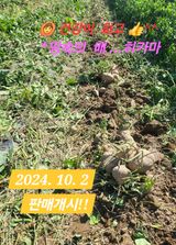 팜모닝 · 게시글 이미지