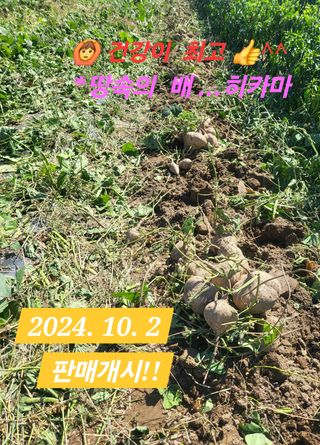 김주용님의 작성글 사진