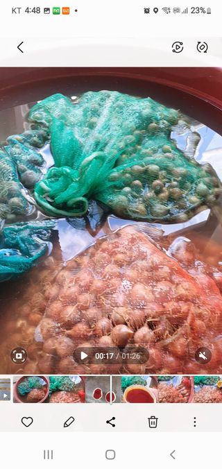 옥천서화농님의 자유주제 · 자유게시판 작성글 사진