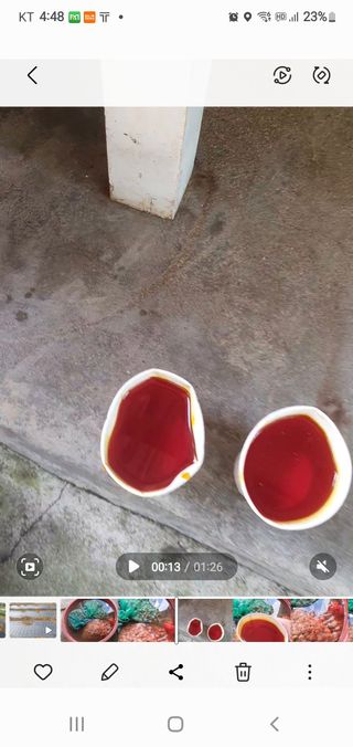 옥천서화농님의 자유주제 · 자유게시판 작성글 사진