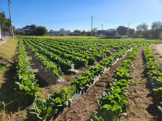 손정아님의 자유주제 · 자유게시판 작성글 사진