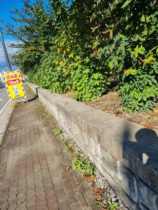 김용대님의 자유주제 · 자유게시판 작성글 사진