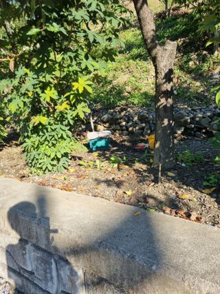 김용대님의 자유주제 · 자유게시판 작성글 사진