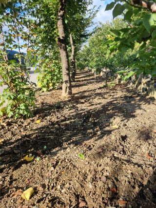 김용대님의 자유주제 · 자유게시판 작성글 사진