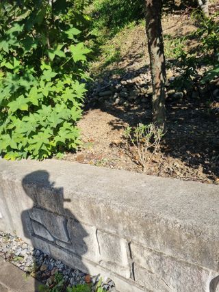 김용대님의 자유주제 · 자유게시판 작성글 사진