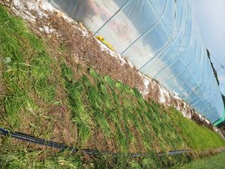 땅콩맘님의 자유주제 · 자유게시판 작성글 사진