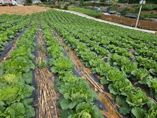 알 수 없음님의 자유주제 · 자유게시판 작성글 사진