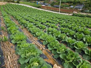 알 수 없음님의 자유주제 · 자유게시판 작성글 사진