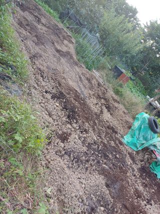 금돌비학님의 기타작물 · 영농일지 작성글 사진