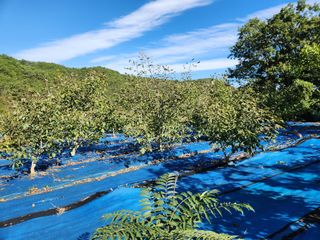김영옥님의 자유주제 · 자유게시판 작성글 사진