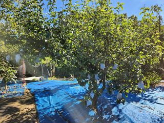 김영옥님의 자유주제 · 자유게시판 작성글 사진