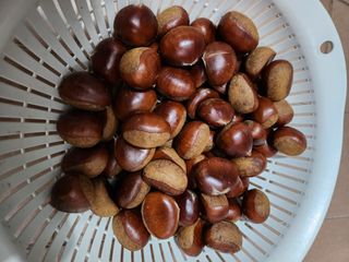 김영옥님의 자유주제 · 자유게시판 작성글 사진