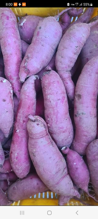 신동익님의 작성글 사진