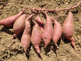 신동익님의 작성글 사진