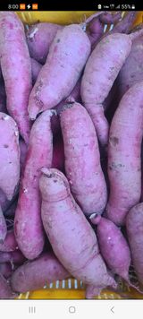 팜모닝 · 게시글 이미지