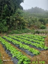 팜모닝 자유주제·자유게시판 게시글 이미지