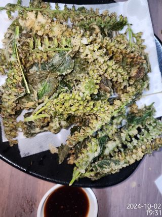 정병무님의 자유주제 · 자유게시판 작성글 사진