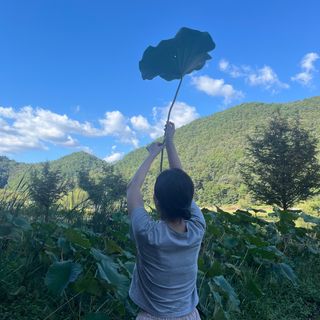 이재갑님의 자유주제 · 자유게시판 작성글 사진