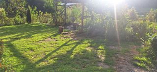 이재갑님의 자유주제 · 자유게시판 작성글 사진