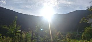 이재갑님의 자유주제 · 자유게시판 작성글 사진