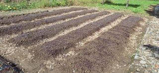 이재갑님의 자유주제 · 자유게시판 작성글 사진