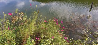 이재갑님의 자유주제 · 자유게시판 작성글 사진