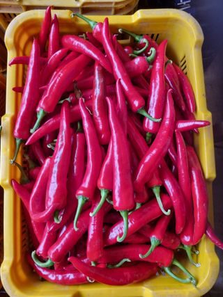 공석래님의 작성글 사진