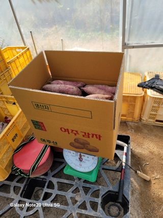 김용민님의 10월 내 농작물 자랑하기 · 참여글 작성글 사진