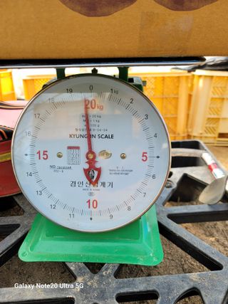 김용민님의 10월 내 농작물 자랑하기 · 참여글 작성글 사진