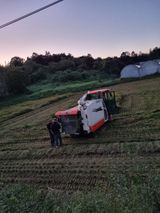 팜모닝 벼·영농일지 게시글 이미지