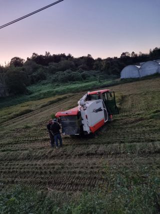이규현님의 벼 · 영농일지 작성글 사진