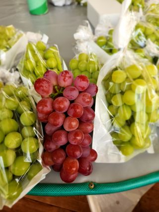 한상숙님의 포도 · 영농일지 작성글 사진