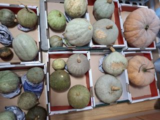 참깨17760님의 자유주제 · 자유게시판 작성글 사진