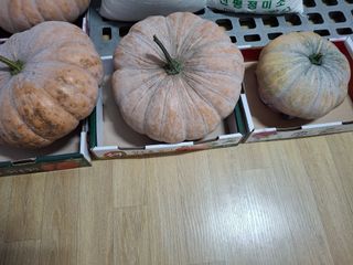 참깨17760님의 자유주제 · 자유게시판 작성글 사진